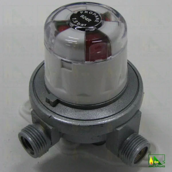 Inversor automático Reca 20 kg/h - Imagen Web de Ancargas ©