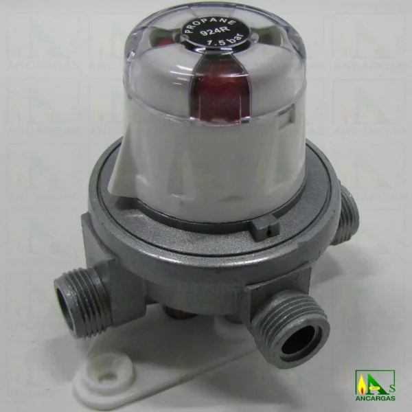 Inversor automático Reca 20 kg/h - Imagen Web de Ancargas ©