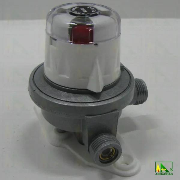 Inversor automático Reca 20 kg/h - Imagen Web de Ancargas ©