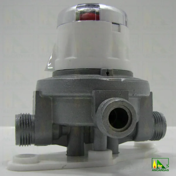 Inversor automático Reca 20 kg/h - Imagen Web de Ancargas ©