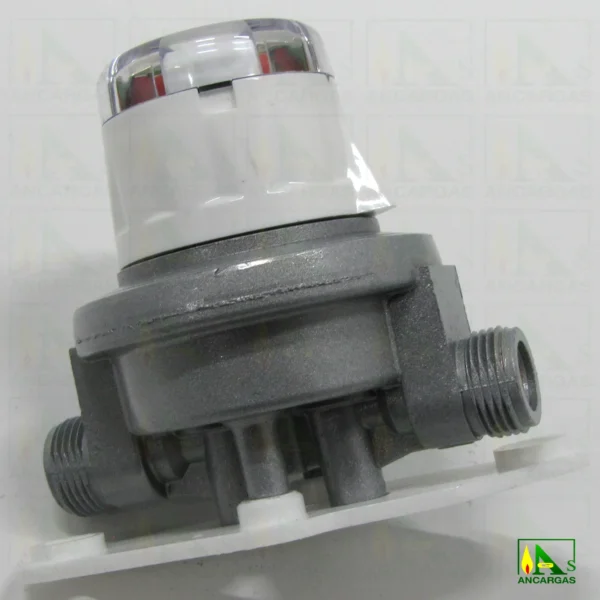 Inversor automático Reca 20 kg/h - Imagen Web de Ancargas ©