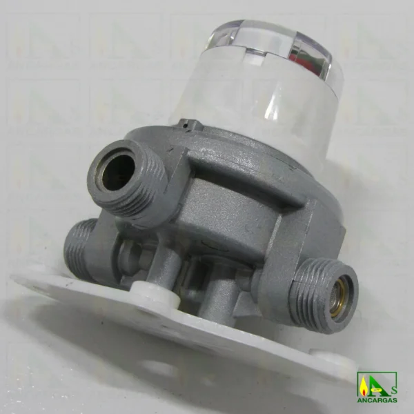 Inversor automático Reca 20 kg/h - Imagen Web de Ancargas ©