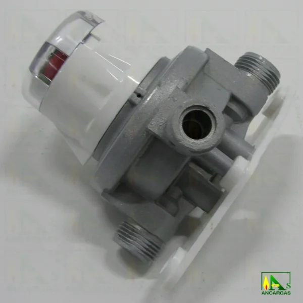 Inversor automático Reca 20 kg/h - Imagen Web de Ancargas ©
