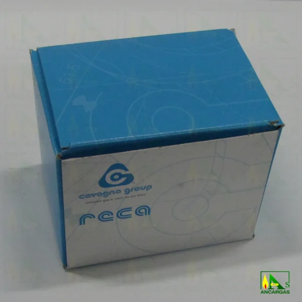 Inversor automático Reca 20 kg/h - Imagen Web de Ancargas ©