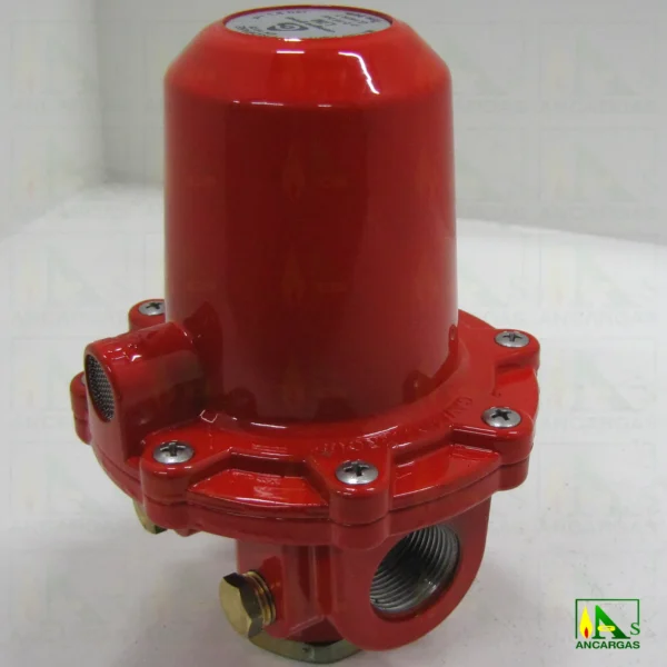 Limitador Reca 100KG - Imagen Web de Ancargas ©