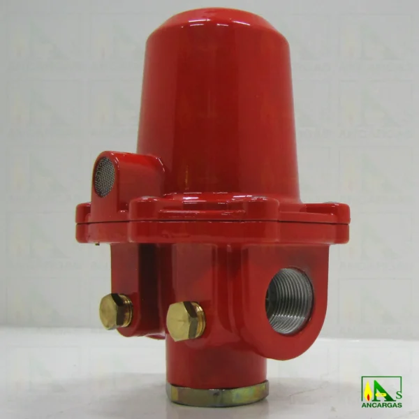 Limitador Reca 100KG - Imagen Web de Ancargas ©