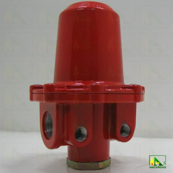 Limitador Reca 100KG - Imagen Web de Ancargas ©