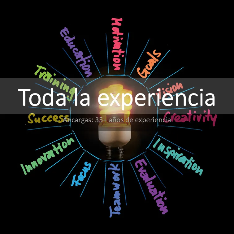Toda experiencia