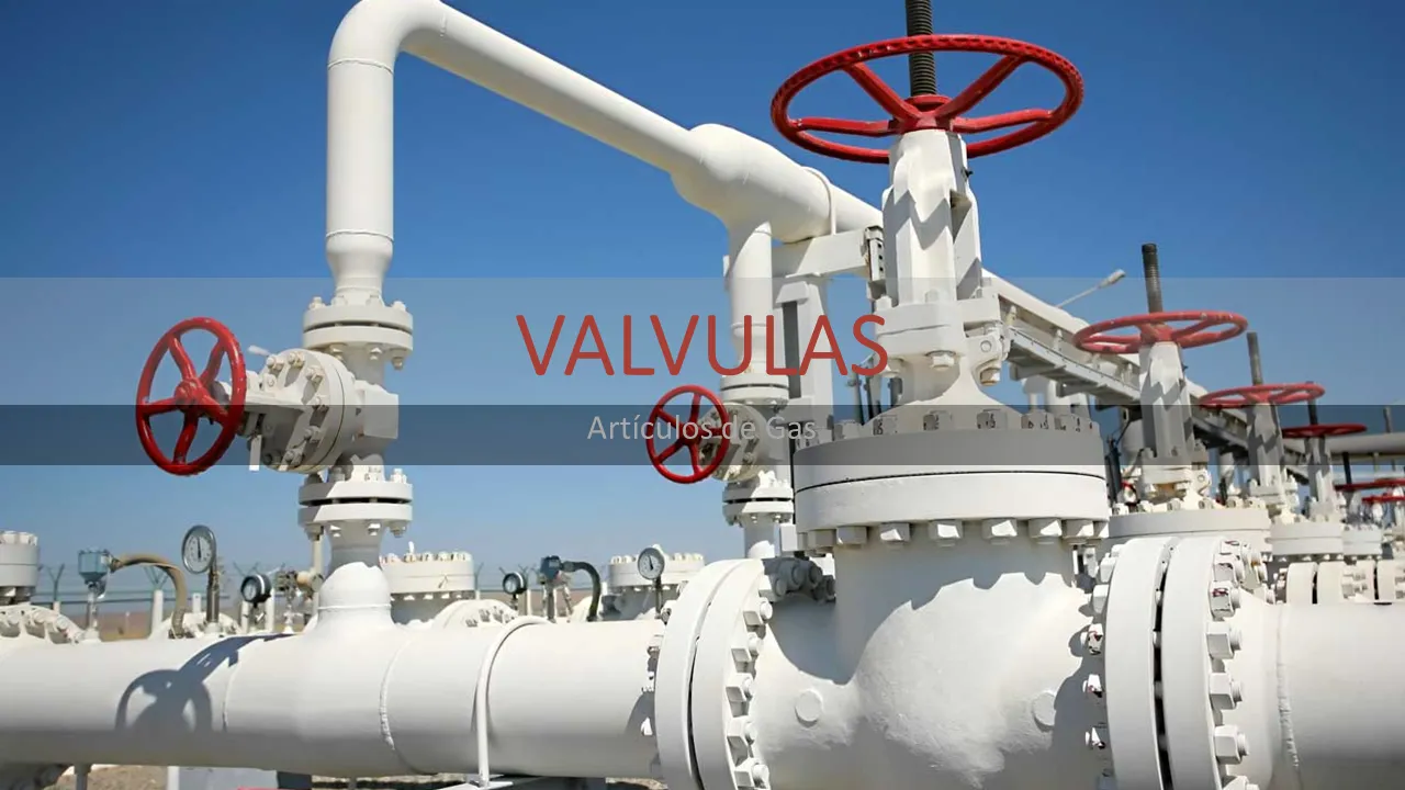 VALVULAS