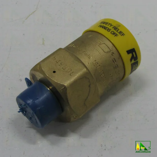 Válvula seguridad externa REGO para portavalvulas - Imagen Web de Ancargas ©