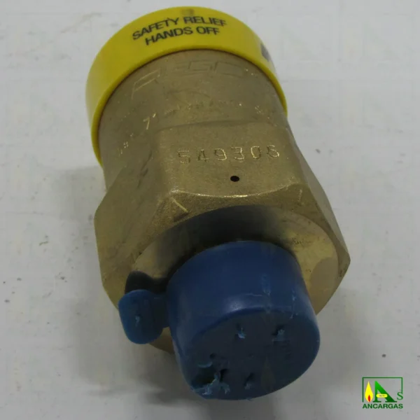 Válvula seguridad externa REGO para portavalvulas - Imagen Web de Ancargas ©
